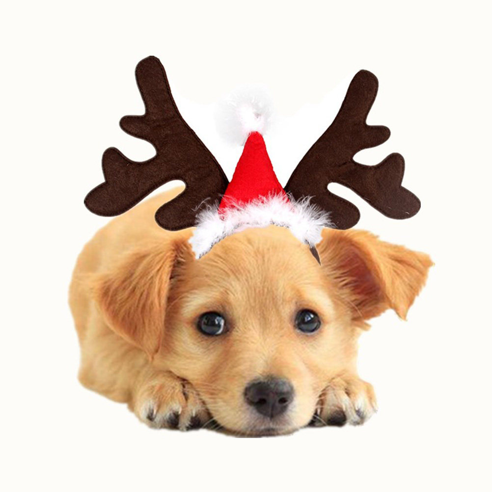 Reindeer Antlers Headband - Diadema de astas de ciervo, orejas